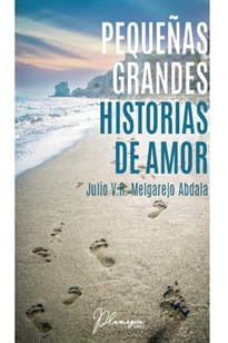 Books Frontpage Pequeñas Grandes Historias de Amor