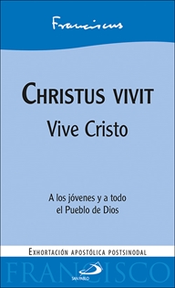 Books Frontpage Christus vivit
