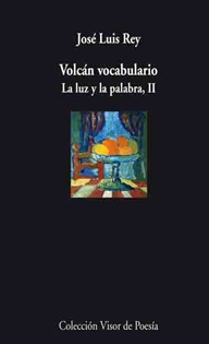 Books Frontpage Volcán vocabulario
