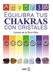 Front pageEquilibra tus chakras con cristales