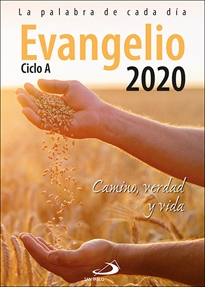 Books Frontpage Evangelio 2020 letra grande