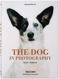 Books Frontpage The Dog in Photography 1839&#x02013;Today