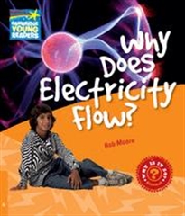 Books Frontpage Why Does Electricity Flow? Level 6 Factbook