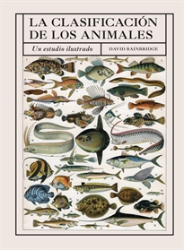 Books Frontpage La Clasificacion De Los Animales