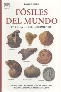 Books Frontpage Fósiles Del Mundo
