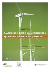Books Frontpage Cuadernos de Derecho para Ingenieros (n.º 47)