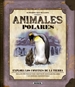 Front pageAnimales polares