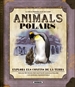 Front pageAnimals polars
