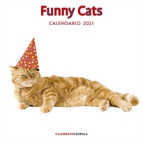 Books Frontpage Calendario Funny cats 2021