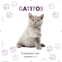 Books Frontpage Calendario Gatitos 2021
