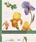 Front pagePinturas Y Dibujos Botanicos Para Artistas