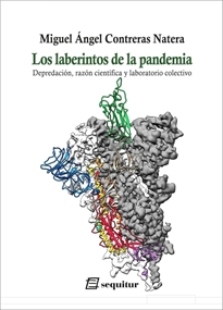 Books Frontpage Los laberintos de la pandemia