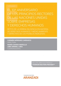 Books Frontpage El 10º Aniversario de los Principios Rectores de las Naciones Unidas sobre empresas y derechos humanos (Papel + e-book)