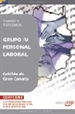 Front pageGrupo IV Personal Laboral del Cabildo de Gran Canaria. Temario y Test Común