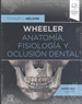 Front pageWheeler. Anatomía, fisiología y oclusión dental