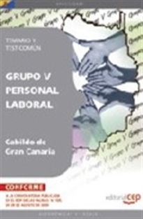 Books Frontpage Grupo V Personal Laboral del Cabildo de Gran Canaria. Temario y Test Común