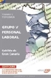 Front pageGrupo V Personal Laboral del Cabildo de Gran Canaria. Temario y Test Común