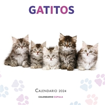 Books Frontpage Calendario Gatitos 2024