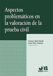 Books Frontpage Aspectos problemáticos en la valoración de la prueba civil.