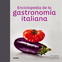 Books Frontpage Enciclopedia de la gastronomía italiana