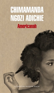 Books Frontpage Americanah