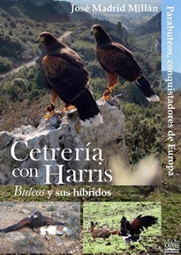 Books Frontpage Cetrería con harris, buteos, y sus híbridos