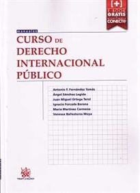 Books Frontpage Curso de Derecho Internacional Público