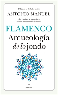 Books Frontpage Flamenco