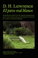 Front pageEl pavo real blanco