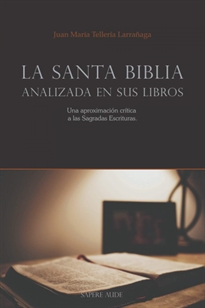 Books Frontpage La Santa Biblia analizada en sus libros