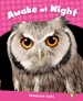 Front pageLevel 2: Awake At Night Clil
