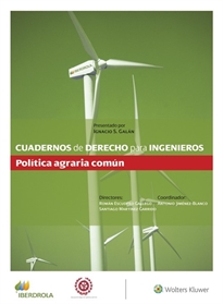 Books Frontpage Cuadernos de Derecho para Ingenieros (n.º 51)
