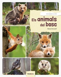 Books Frontpage Els animals del bosc