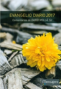 Books Frontpage Evangelio diario 2017