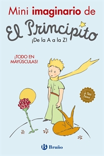 Books Frontpage Mini imaginario de El Principito