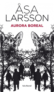 Books Frontpage Aurora boreal
