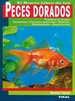 Front pagePeces dorados