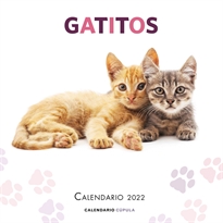 Books Frontpage Calendario Gatitos 2022