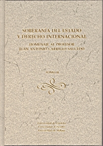 Books Frontpage Soberanía del Estado y derecho internacional: homenaje al profesor Juan Antonio Carrillo Salcedo