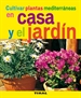 Front pageCultivar plantas mediterráneas en casa y el jardín