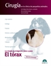 Front pageEl tórax. Cirugía en la clínica de pequeños animales