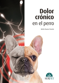 Books Frontpage Dolor crónico en el perro