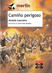 Books Frontpage Camiño perigoso