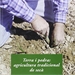 Front pageTerra i pedra: agricultura tradicional de secà