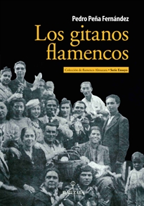 Books Frontpage Los gitanos flamencos