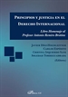Front pagePrincipios y justicia en el Derecho Internacional