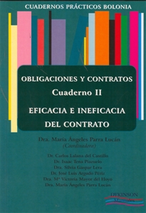 Books Frontpage Obligaciones y Contratos. Eficacia e ineficacia del contrato. Cuaderno II.