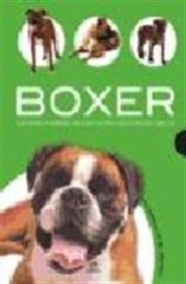 Books Frontpage Boxer