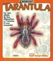 Front pageTaràntula