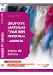 Front pageGrupo IV. Materias Comunes. Personal Laboral de la Xunta de Galicia. Temario y Test